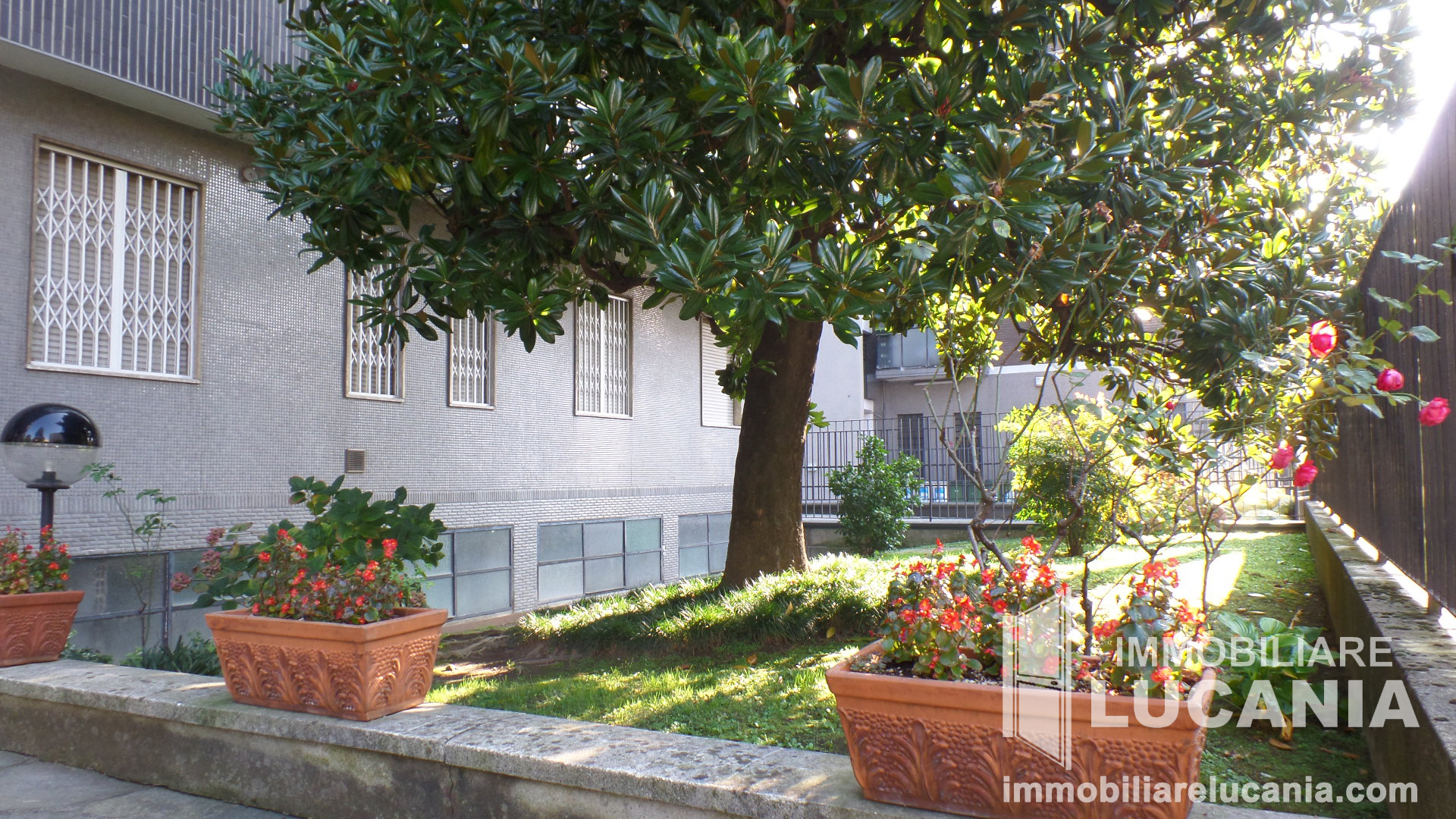 Giardino condominiale esterno stabile Via Avezzana